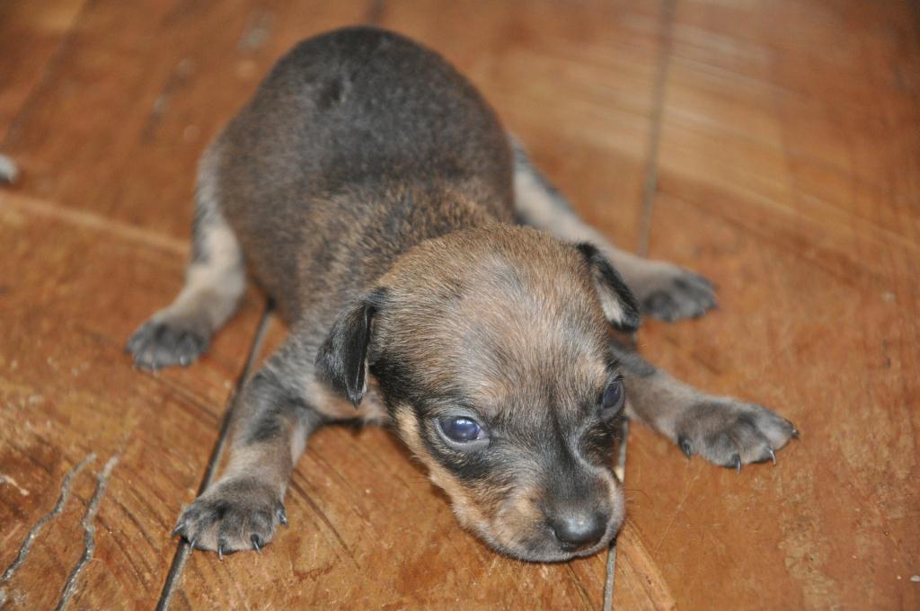 Better Angels of Our&nbsp;Nature