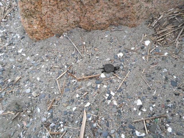 Mission Accomplished