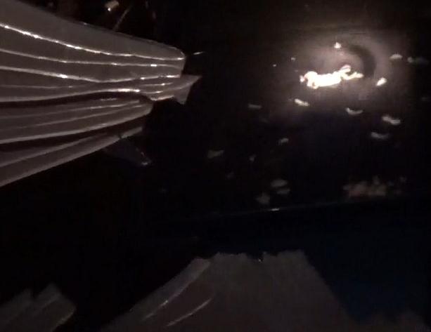 Dove blew through this window.jpg