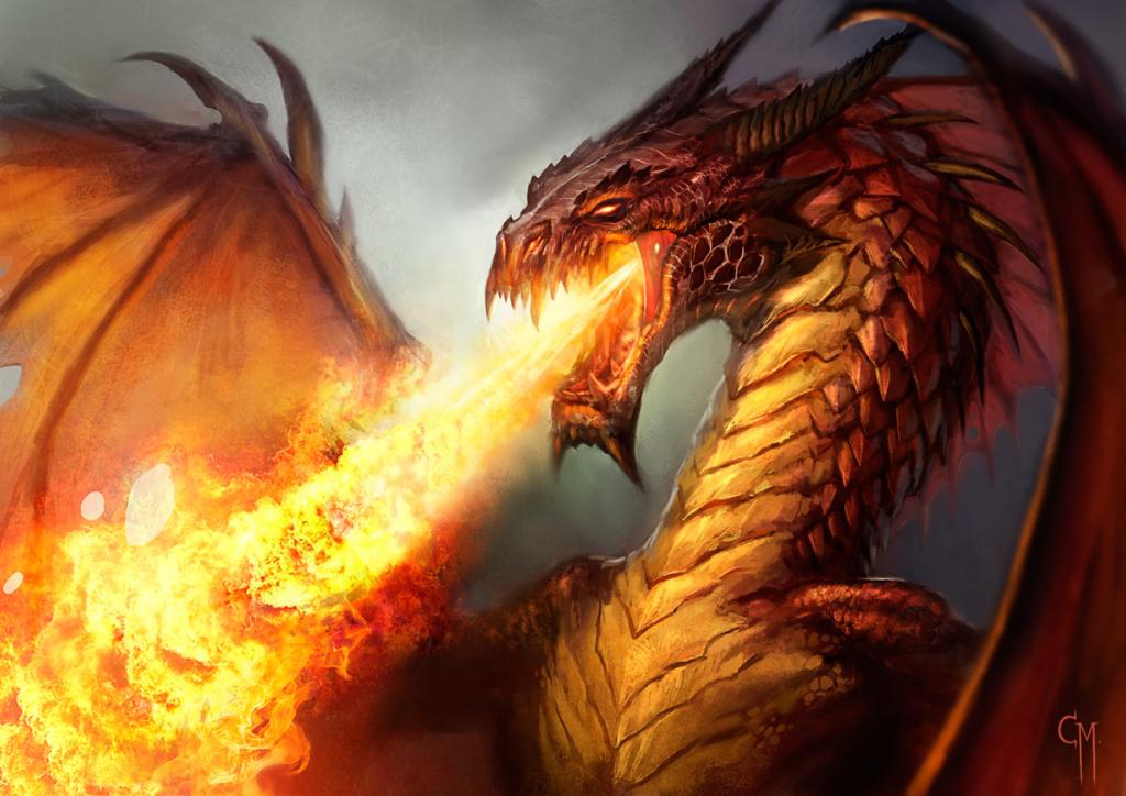 “Fight Back Like a Fire Breathing Dragon; I Will Not be&nbsp;Defeated”