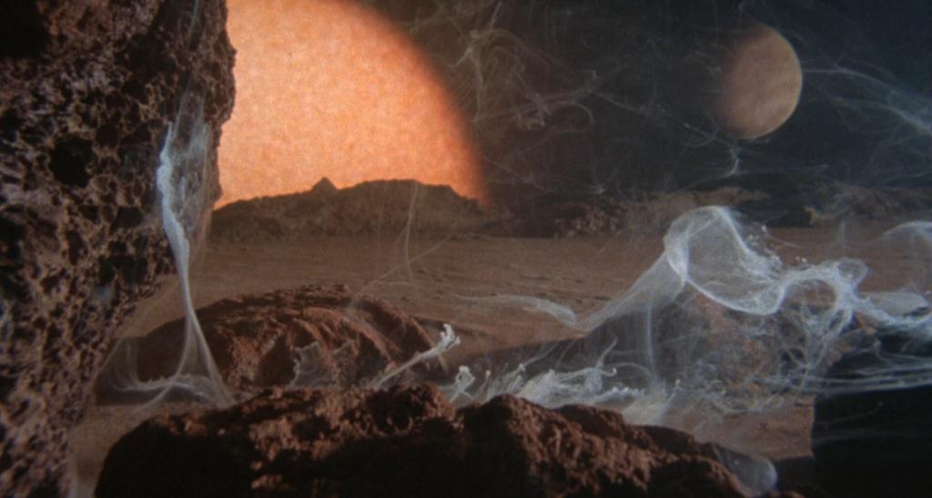 Body Snatchers 14 sm print.jpg