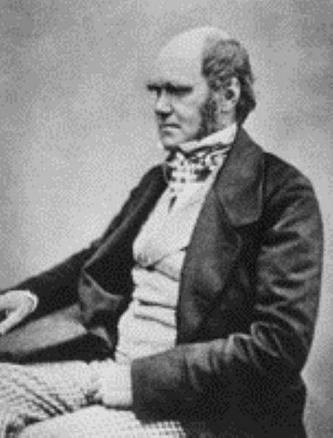 Darwin athiest  web.jpg