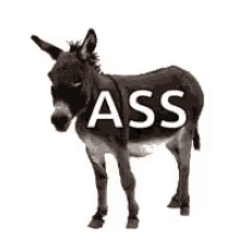 Donkey ASS on it sm  print.jpg