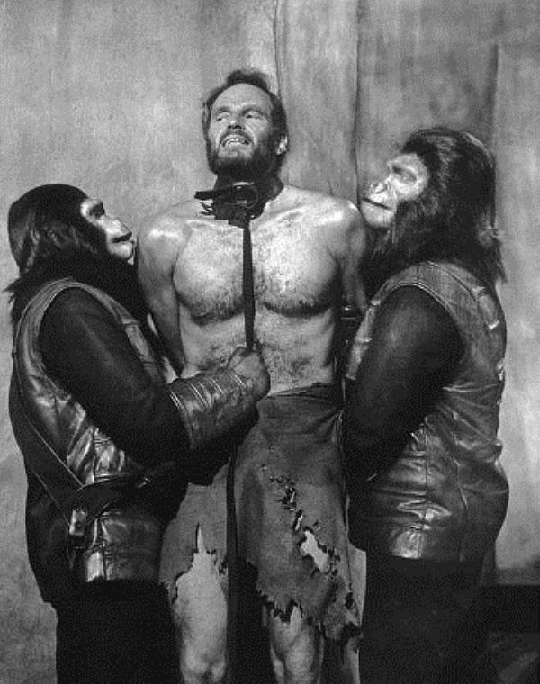 Planet of the Apes Heston and 2 Apes Docu.jpg