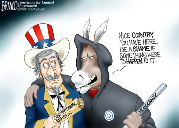 constitutional-republic-v-dem-mob