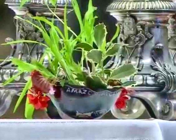 Pachamama bowl in vatican web