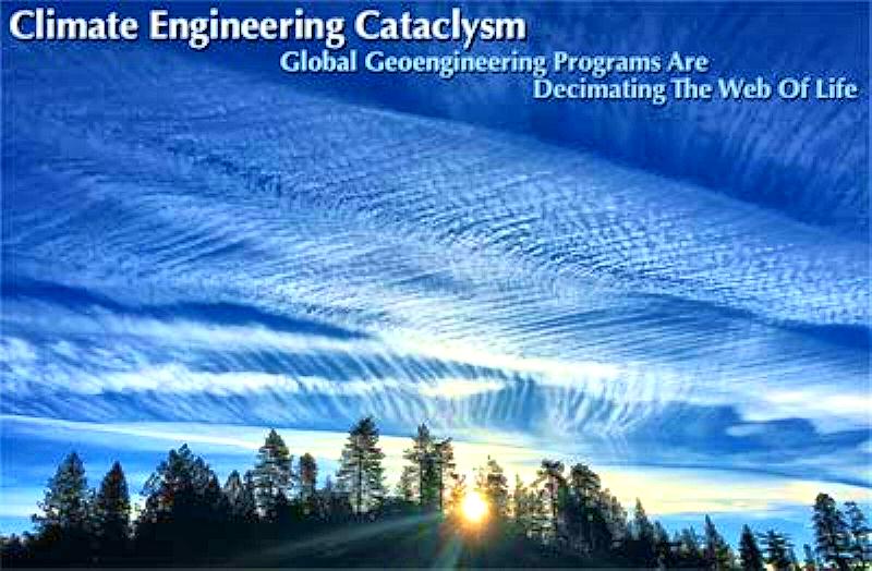 Chem Trails docu 2