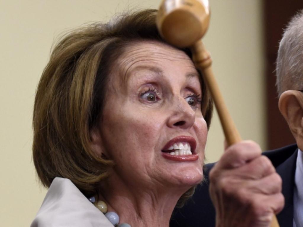 Pelosi insane house