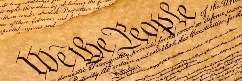 ConstitutionExcerpt