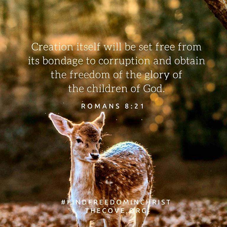 Perfection Lost sm Print