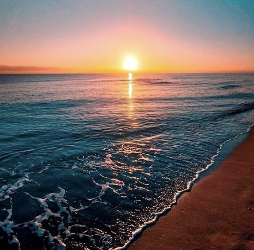 0d5646ea-b3c8-4a3b-8437-a90e65ed9582