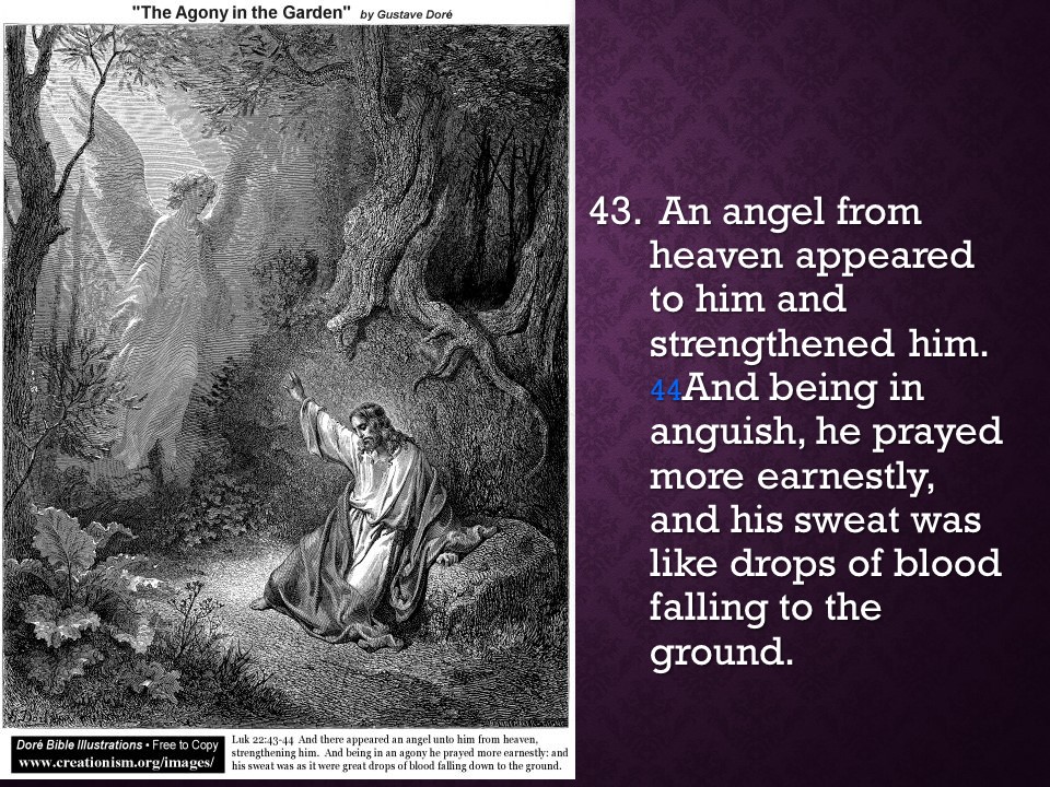 “…My sacred servants are the backbone of My Church….attack from Satan at this time.&nbsp;…”