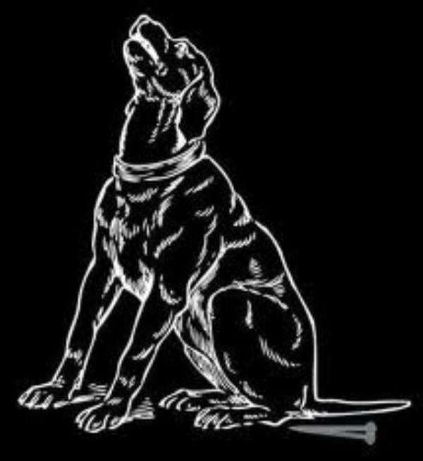 Dog Sitting on a Nail docu