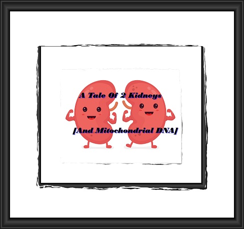 happy-kidneysframeddarker