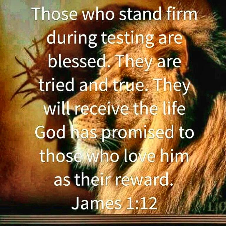 Jesus and lion sm print