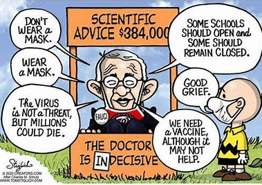 fauci-back-and-forth-e1623030247777