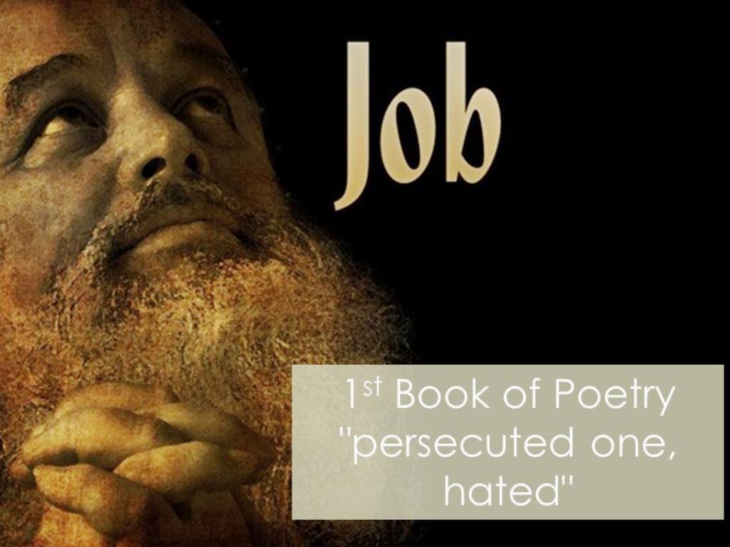 Job Book Praying sm print