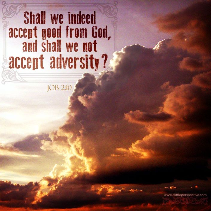 3172cd9b8adf9818523e92a73bdebbcb