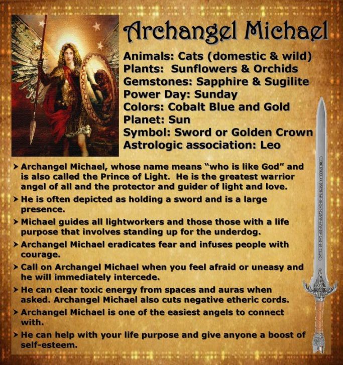 812fc6189672855add3fb9ec66990f66