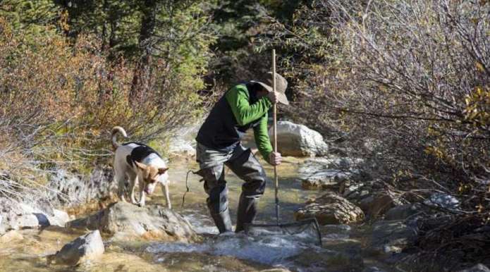 Rare-earths-make-their-way-to-Colorados-waterways