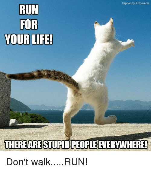caption-by-kittyworks-run-for-your-life-thereaprestupid-peopleeverywhere-dont-walk-run-20894143 (2)