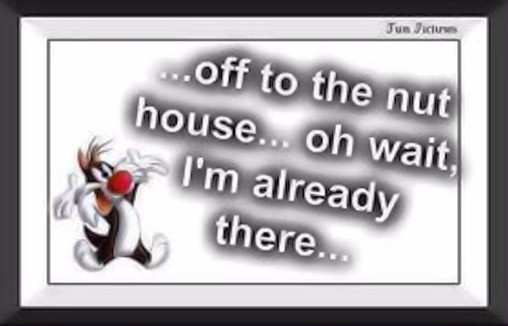 Onway to nut house sylvester cat sm print