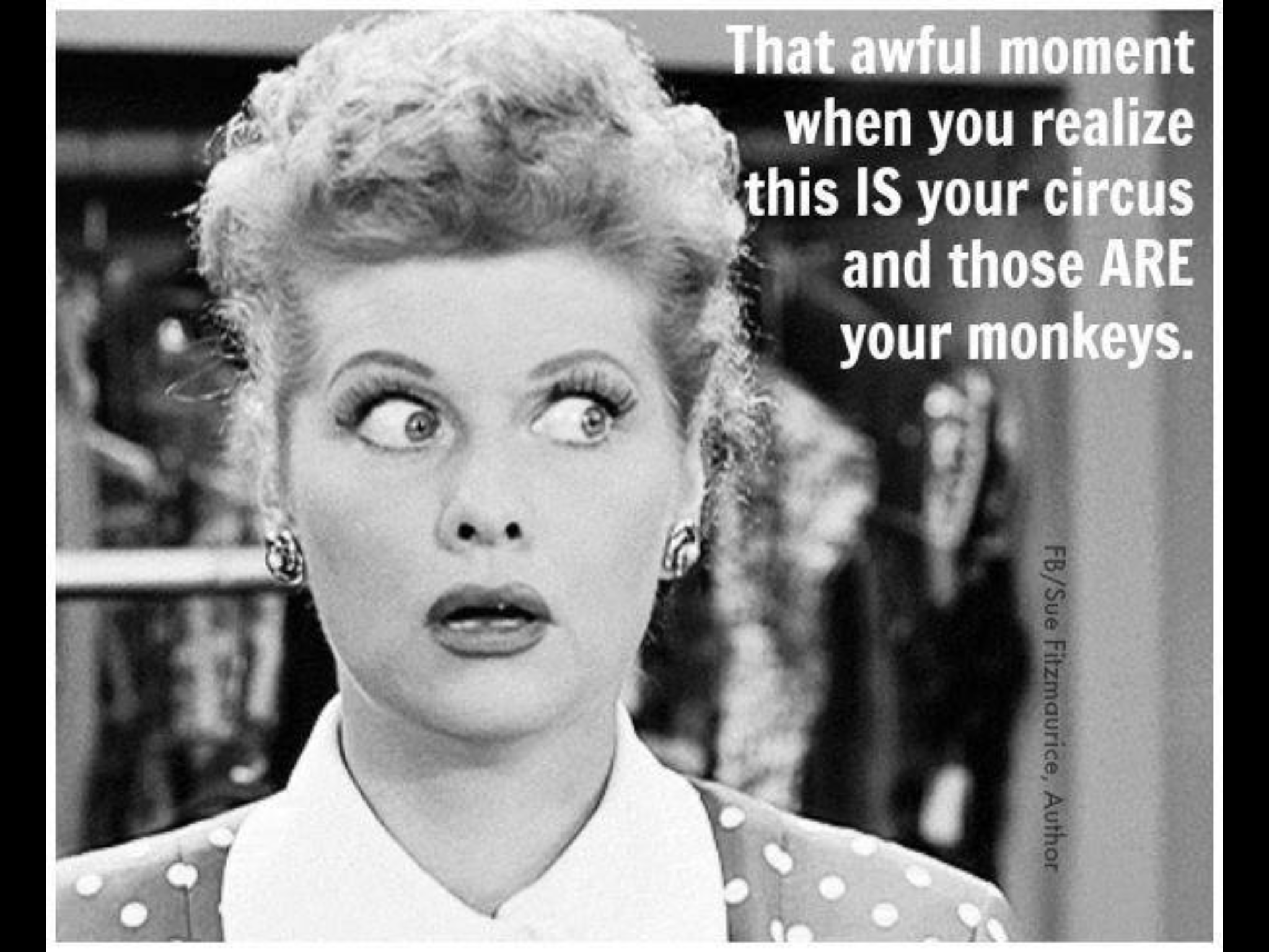 c0026a844fec326f22f0c876313ebc97