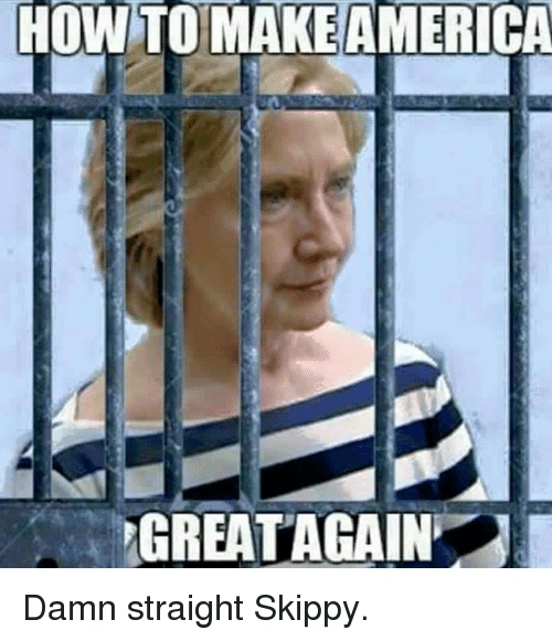 howtomakeamerica-great-again-damn-straight-skippy-21474358 (2)