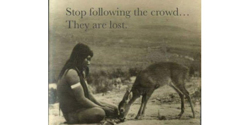 stop-following-the-crowd