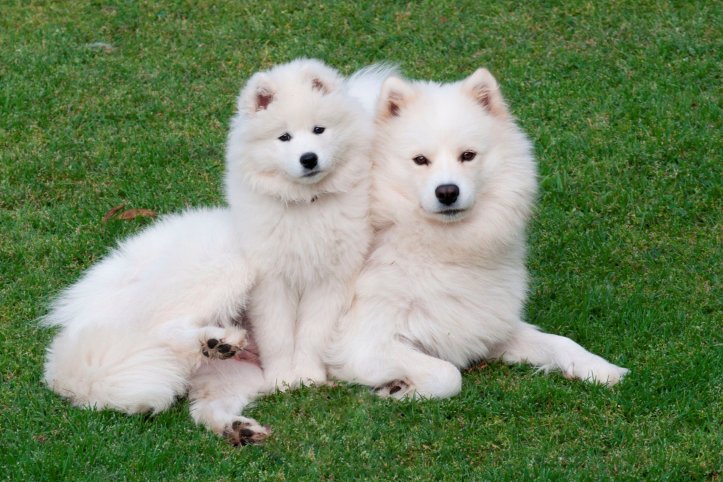 0416ffa454f4b33496420a46ef2fdb5f