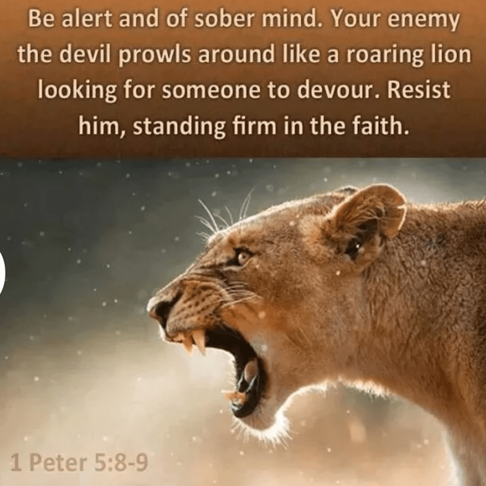 Screenshot_2014-05-24-01-01-11-1-1