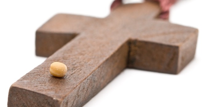 shutterstock_76156168-1-660x350