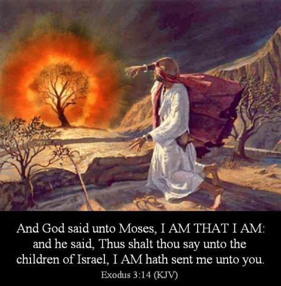 e6d23fc3ebb808e6e1d26e50ed070fac