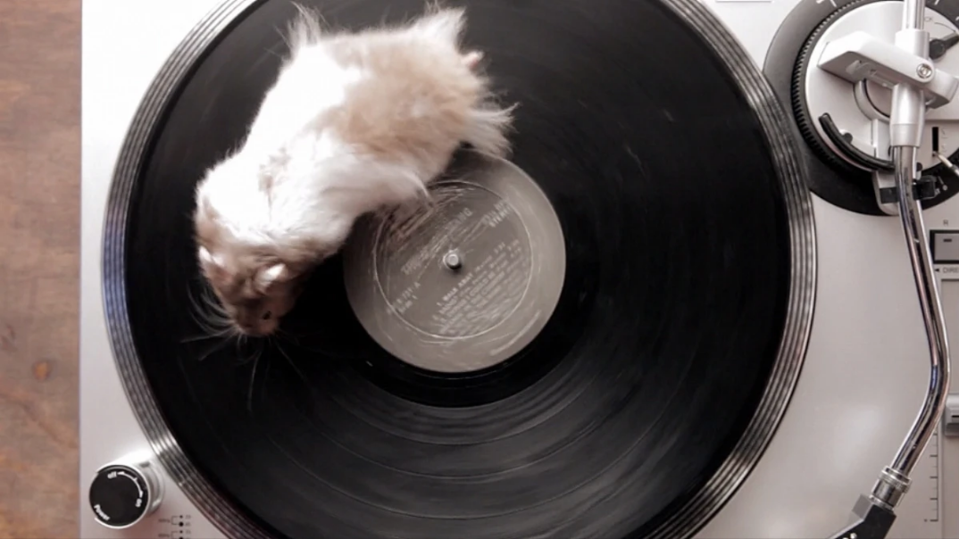 Screenshot_2022-04-24 11e52ea3f994cce5b4843c1b544970a8 jpg (WEBP Image, 1200 × 675 pixels)