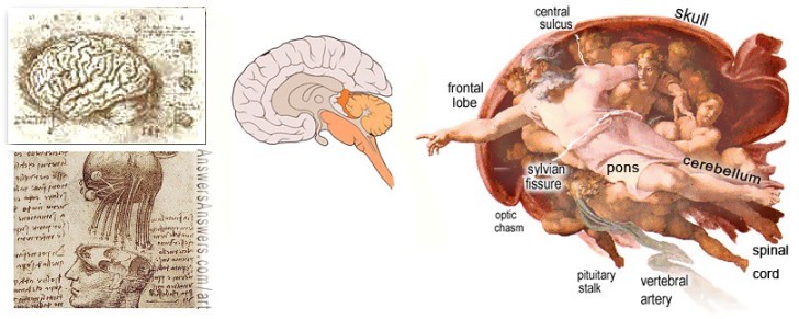 14071517001_0462e5d892_b