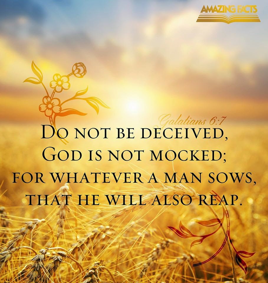 1781824_10151966200415846_1418876629_o