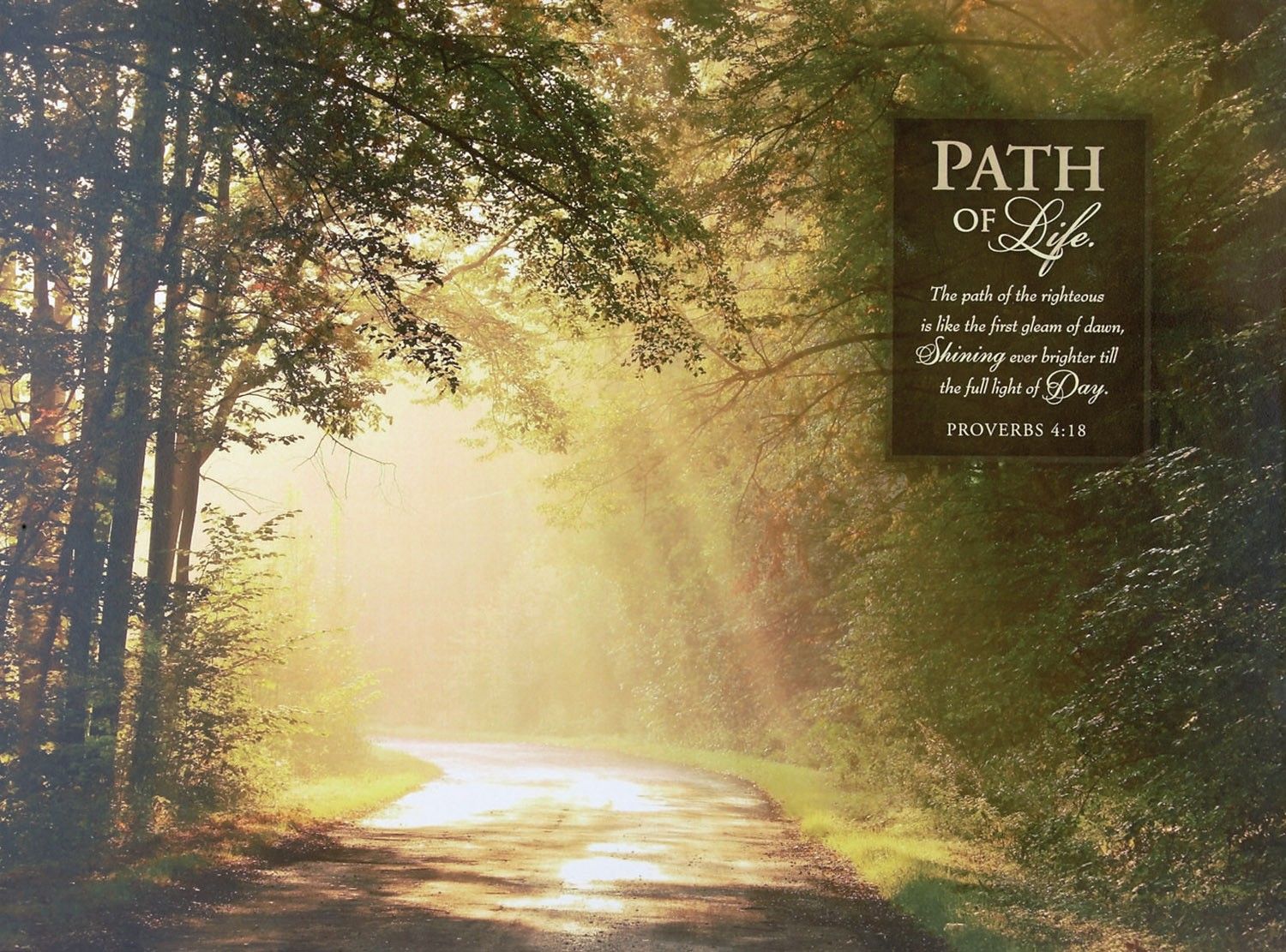 5b100a0ce1323147bba42d189b81e87f