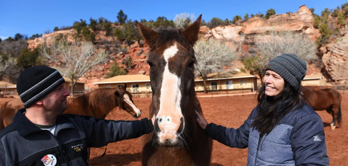 Here are Some of My Best&nbsp;Friends