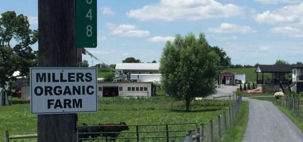 Miller Amish Organic Farm