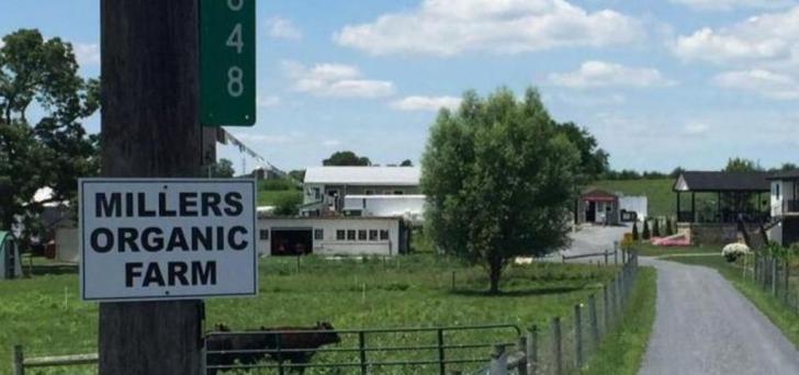 Miller Amish Organic Farm