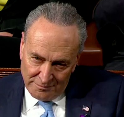 sen-chuch-schumer-ny DEMONIC POSESSED